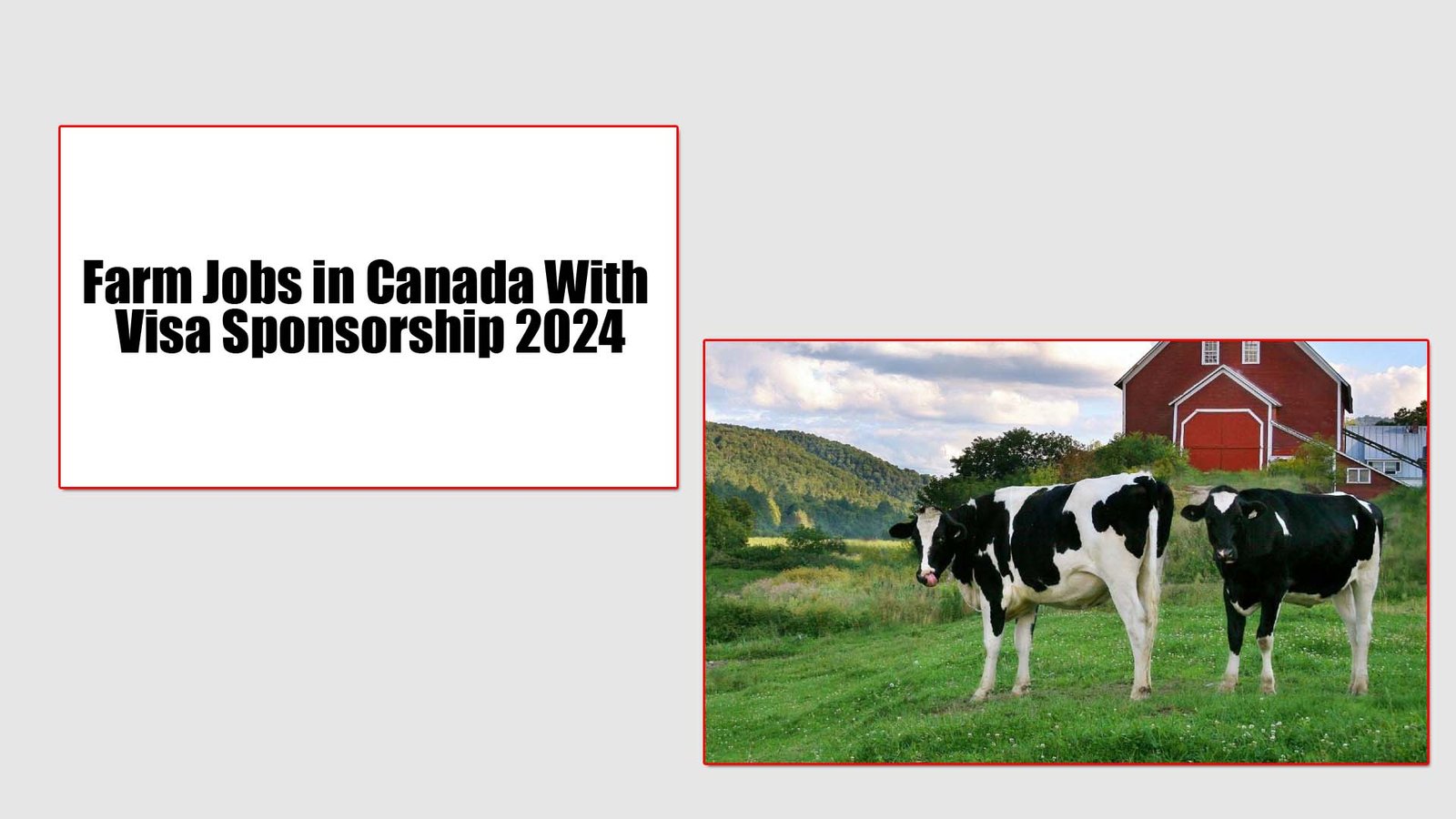 Farm Jobs in Canada With Visa Sponsorship 2024