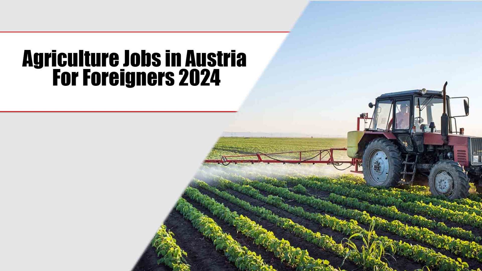 Agriculture Jobs in Austria For Foreigners 2024