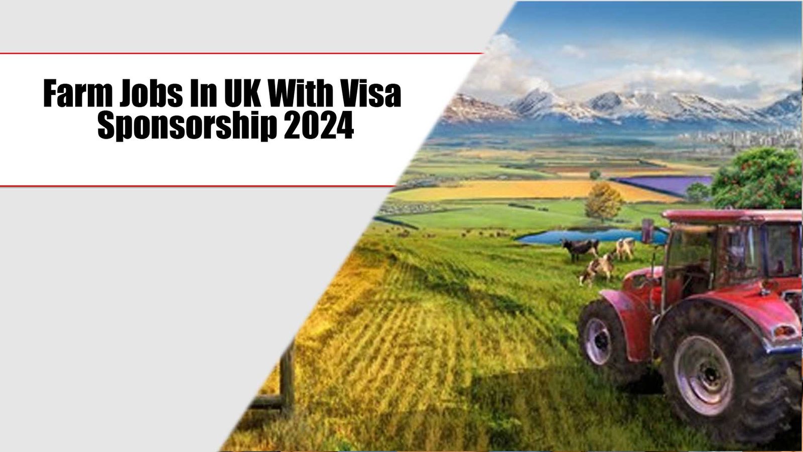 Farm Jobs In UK With Visa Sponsorship 2024