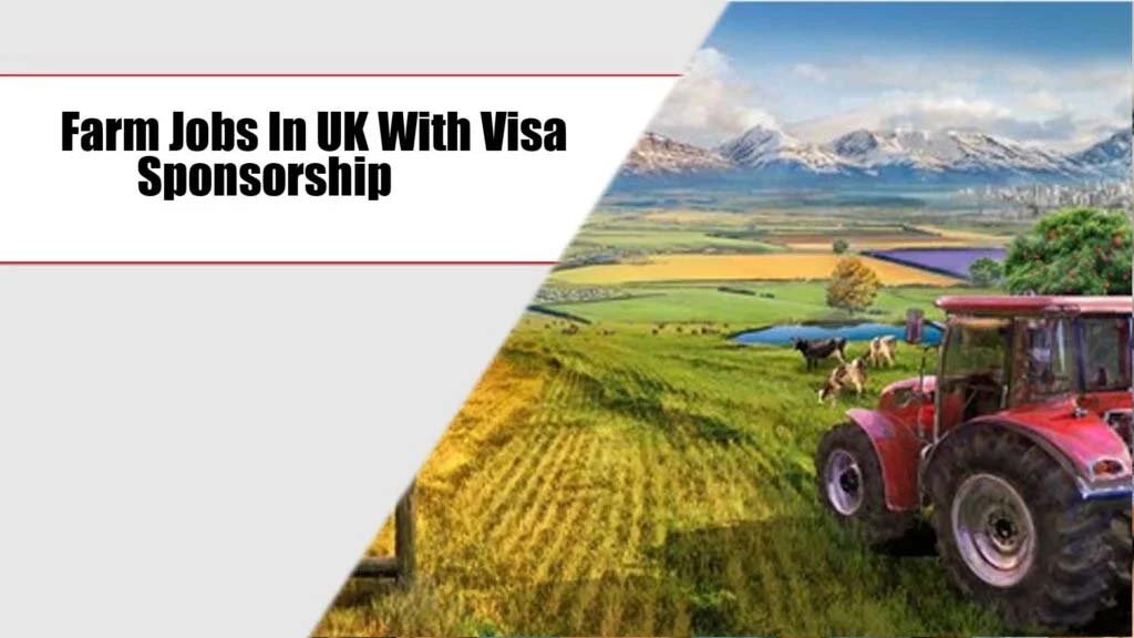 Farm Jobs In UK With Visa Sponsorship