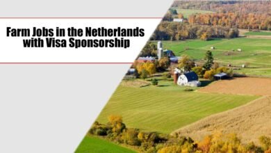 Farm Jobs in the Netherlands with Visa Sponsorship