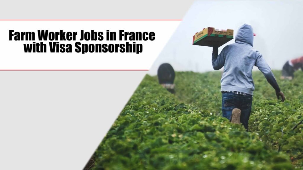 Farm Worker Jobs in France with Visa Sponsorship