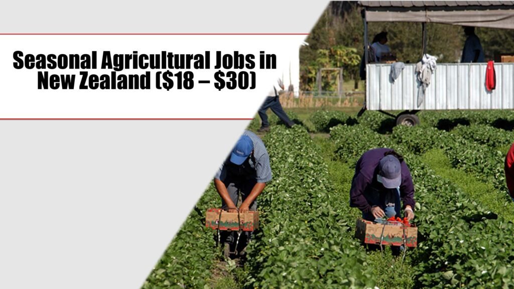 Seasonal Agricultural Jobs in New Zealand ($18 – $30 per hour)