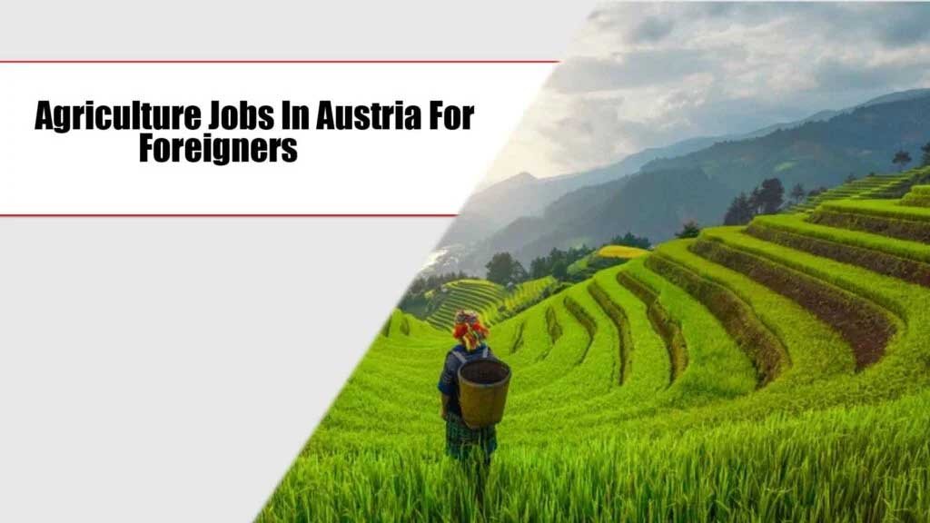 Agriculture Jobs In Austria For Foreigners
