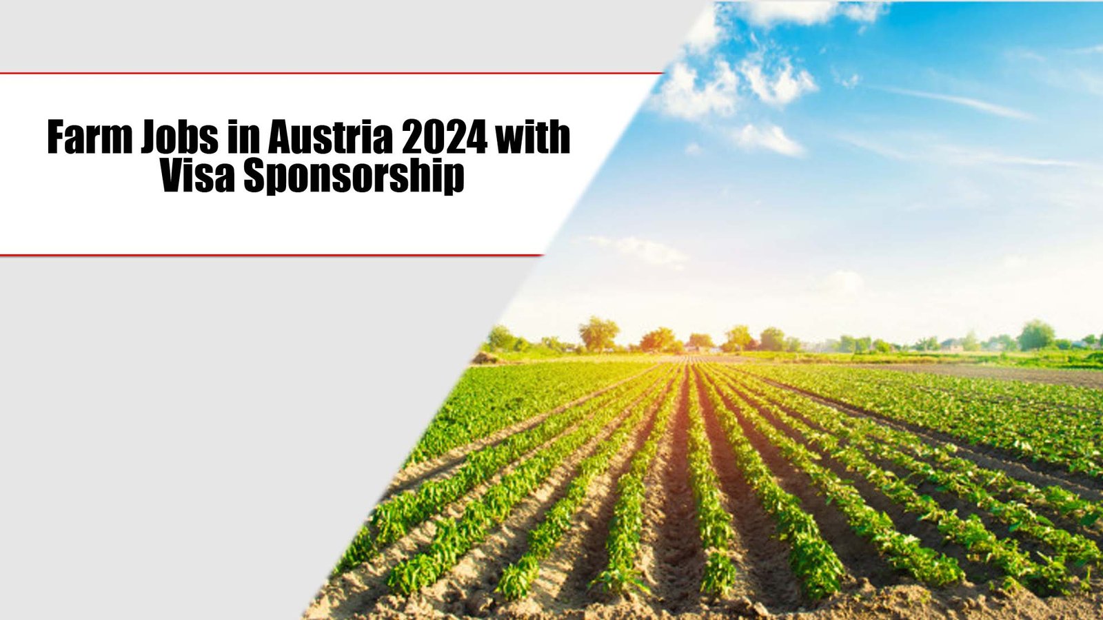 Farm Jobs in Austria 2024 for International Applicants