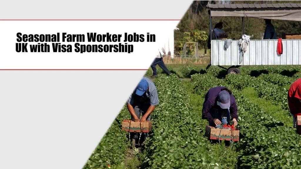 Seasonal Farm Worker Jobs in UK with Visa Sponsorship 2025