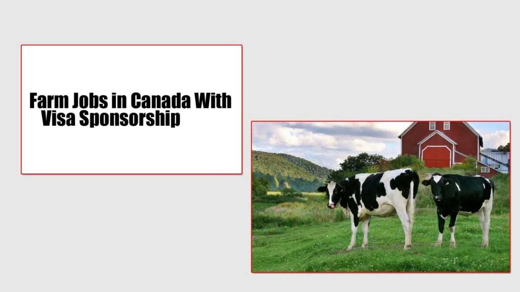 Farm Jobs in Canada With Visa Sponsorship