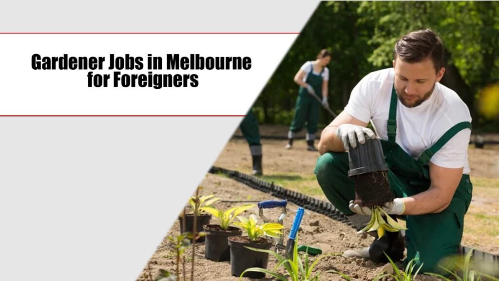 Gardener Jobs in Melbourne 2024 for Foreigners (Apply Online)