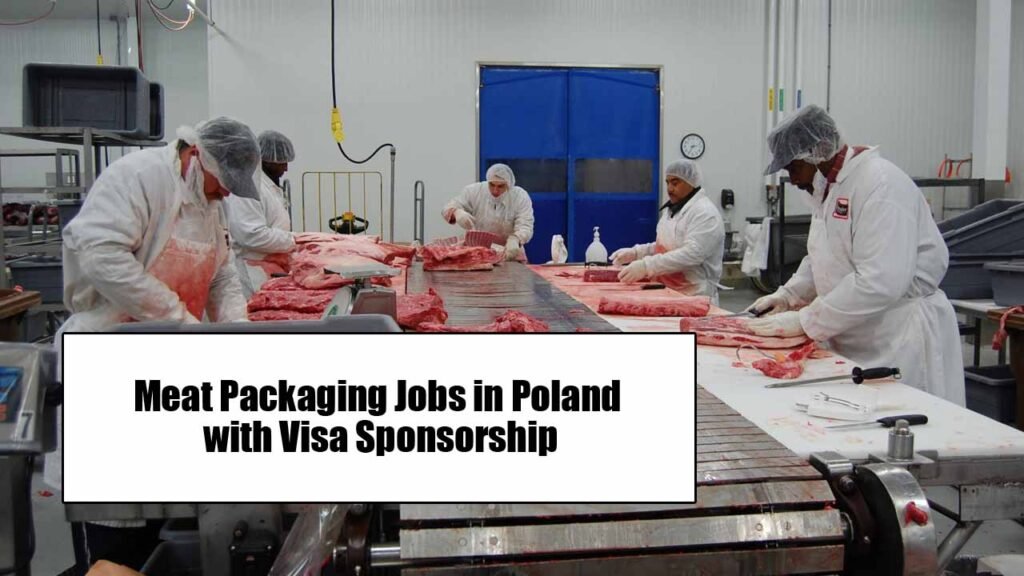 Meat Packaging Jobs in Poland with Visa Sponsorship