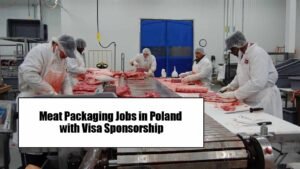 Read more about the article Meat Packaging Jobs in Poland with Visa Sponsorship