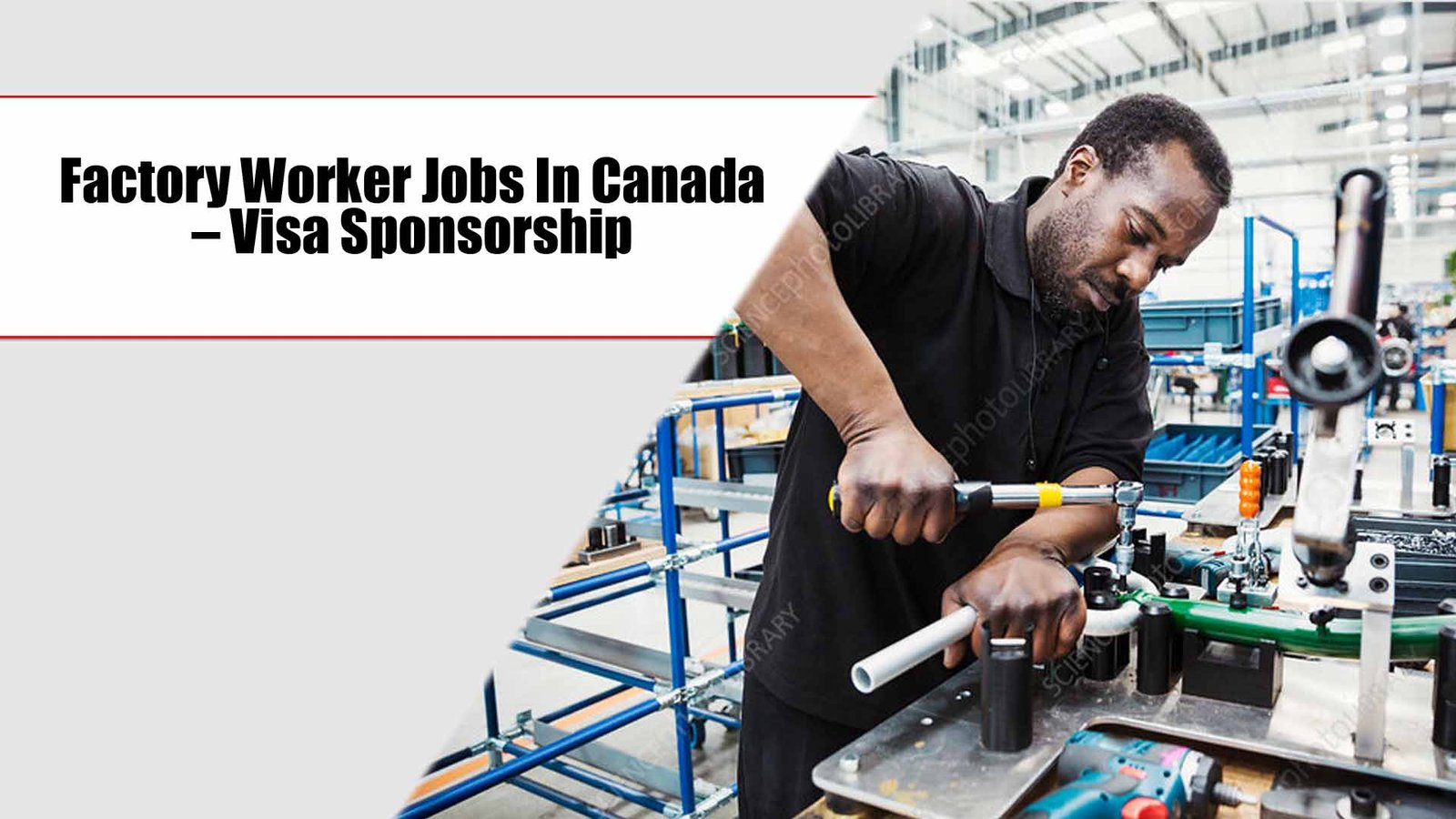 Factory Worker Jobs In Canada 2024 – Visa Sponsorship