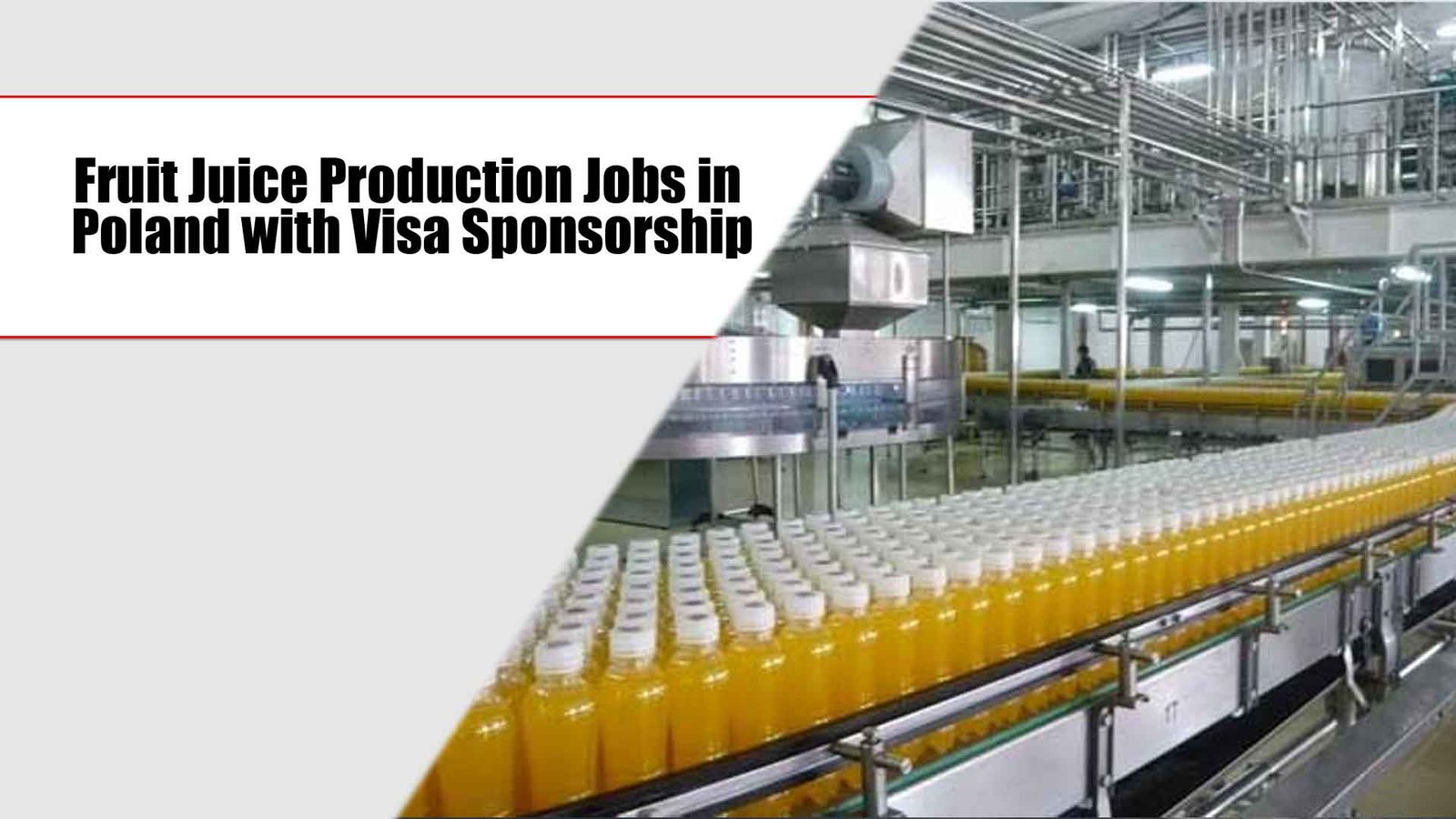 Fruit Juice Production Jobs in Poland with Visa Sponsorship