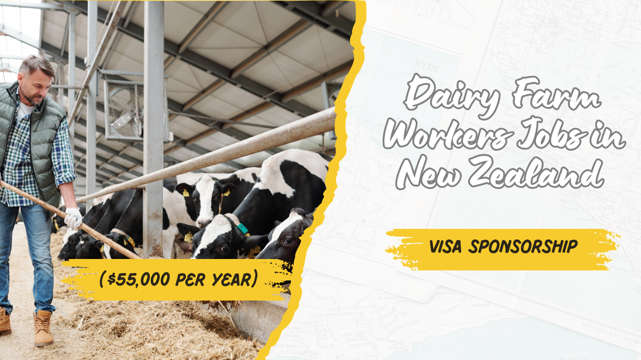 Dairy Farm Workers Jobs in New Zealand with Visa Sponsorship 2024