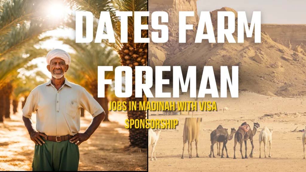 Dates Farm Foreman Jobs in Madinah with Visa Sponsorship 2025