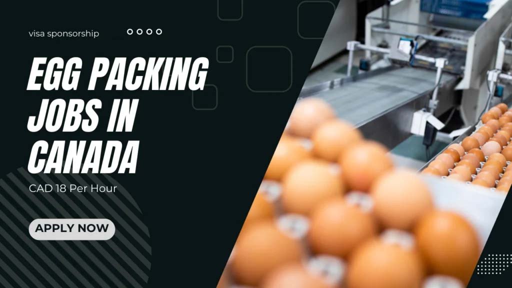 Egg Packing Jobs in Canada with Visa Sponsorship