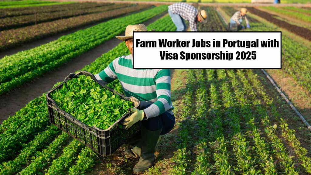 Farm Worker Jobs in Portugal with Visa Sponsorship 2025