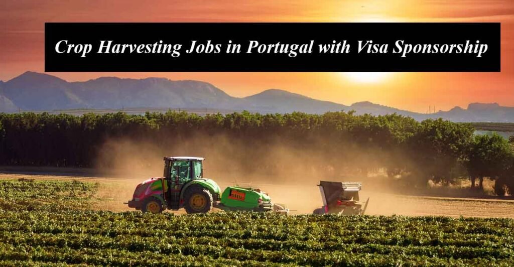 Crop Harvesting Jobs in Portugal with Visa Sponsorship