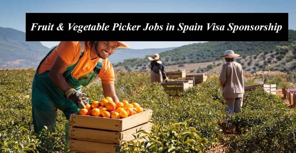 Fruit & Vegetable Picker Jobs in Spain with Visa Sponsorship